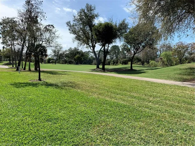 a view of field with tall trees