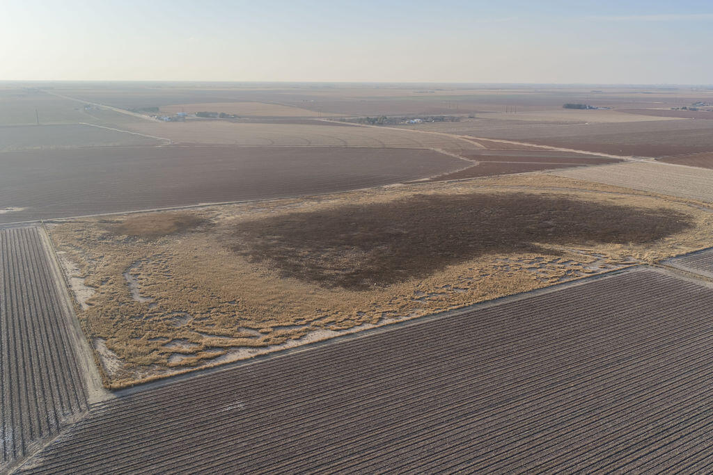 19706 C R 3100 Slaton, TX 79364 - Photo 179 of 195 AshleyAdamsMedia-721