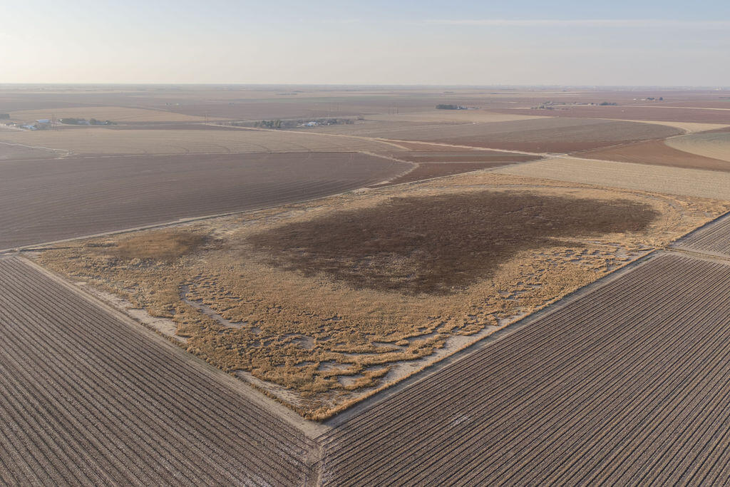 19706 C R 3100 Slaton, TX 79364 - Photo 180 of 195 AshleyAdamsMedia-722