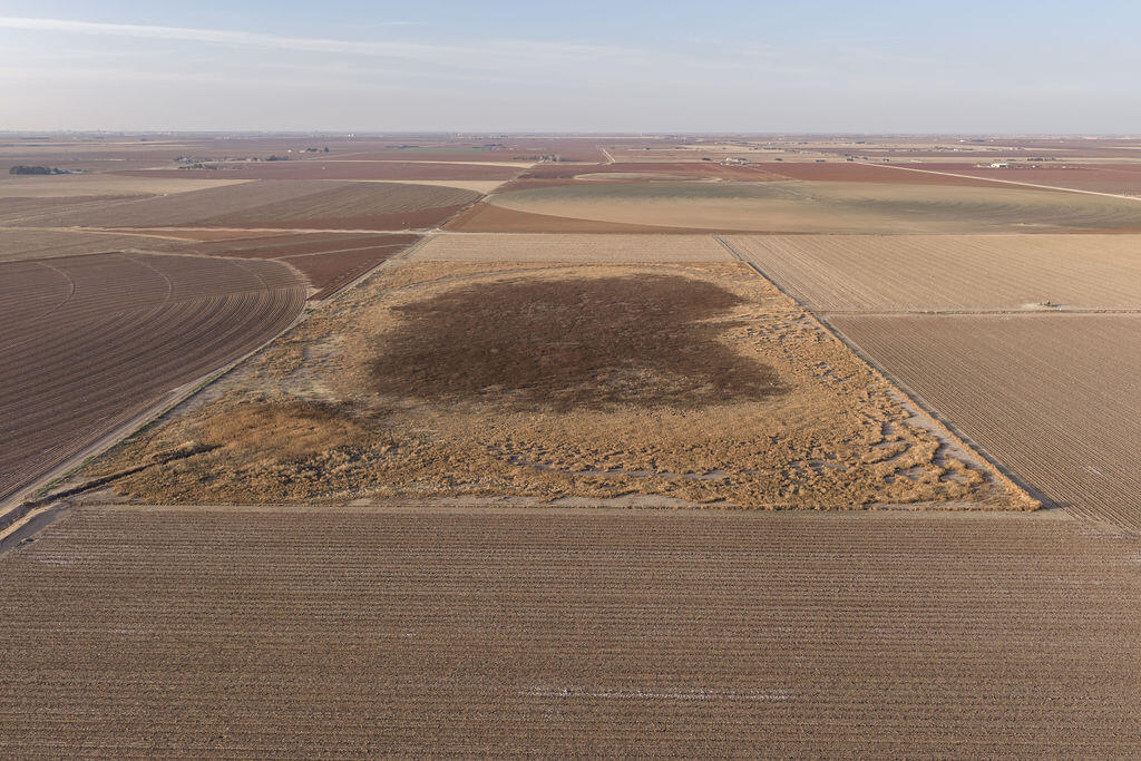 19706 C R 3100 Slaton, TX 79364 - Photo 181 of 195 AshleyAdamsMedia-723