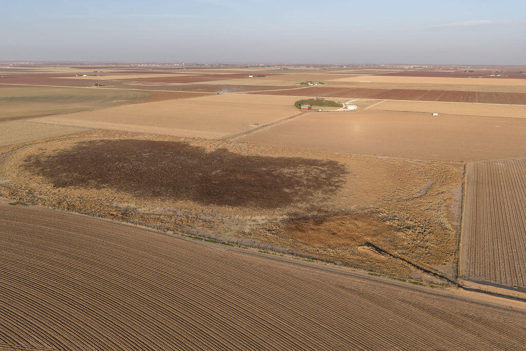 19706 C R 3100 Slaton, TX 79364 - Photo 183 of 195 AshleyAdamsMedia-725