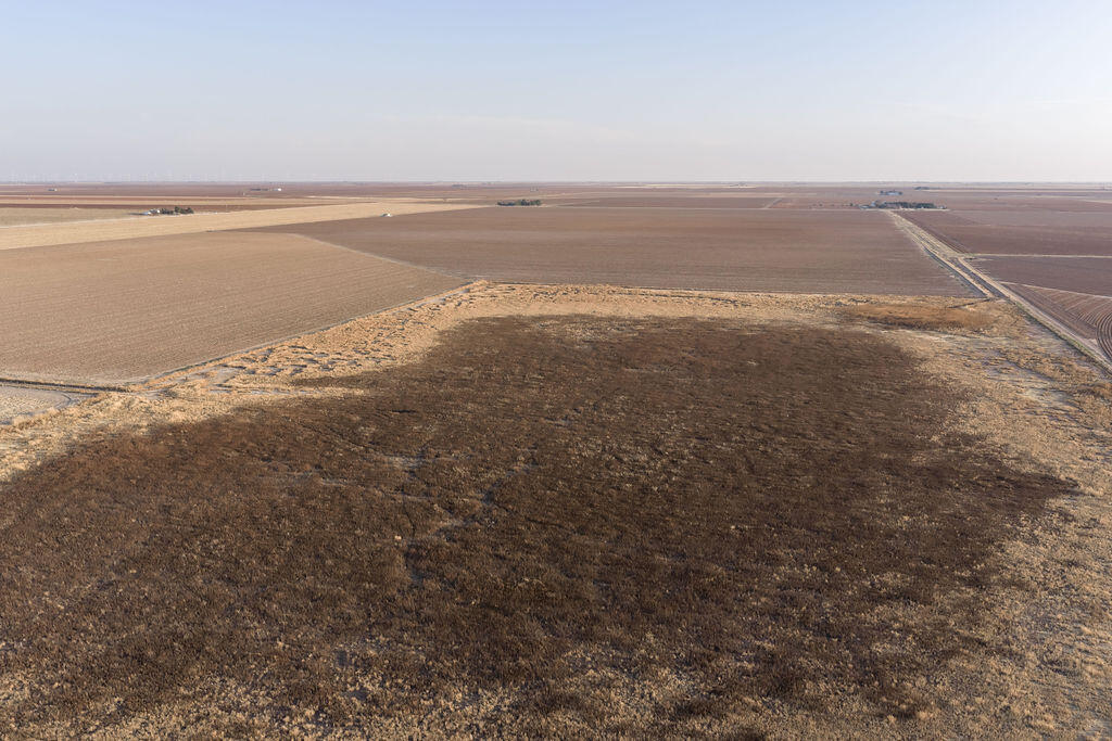 19706 C R 3100 Slaton, TX 79364 - Photo 188 of 195 AshleyAdamsMedia-730