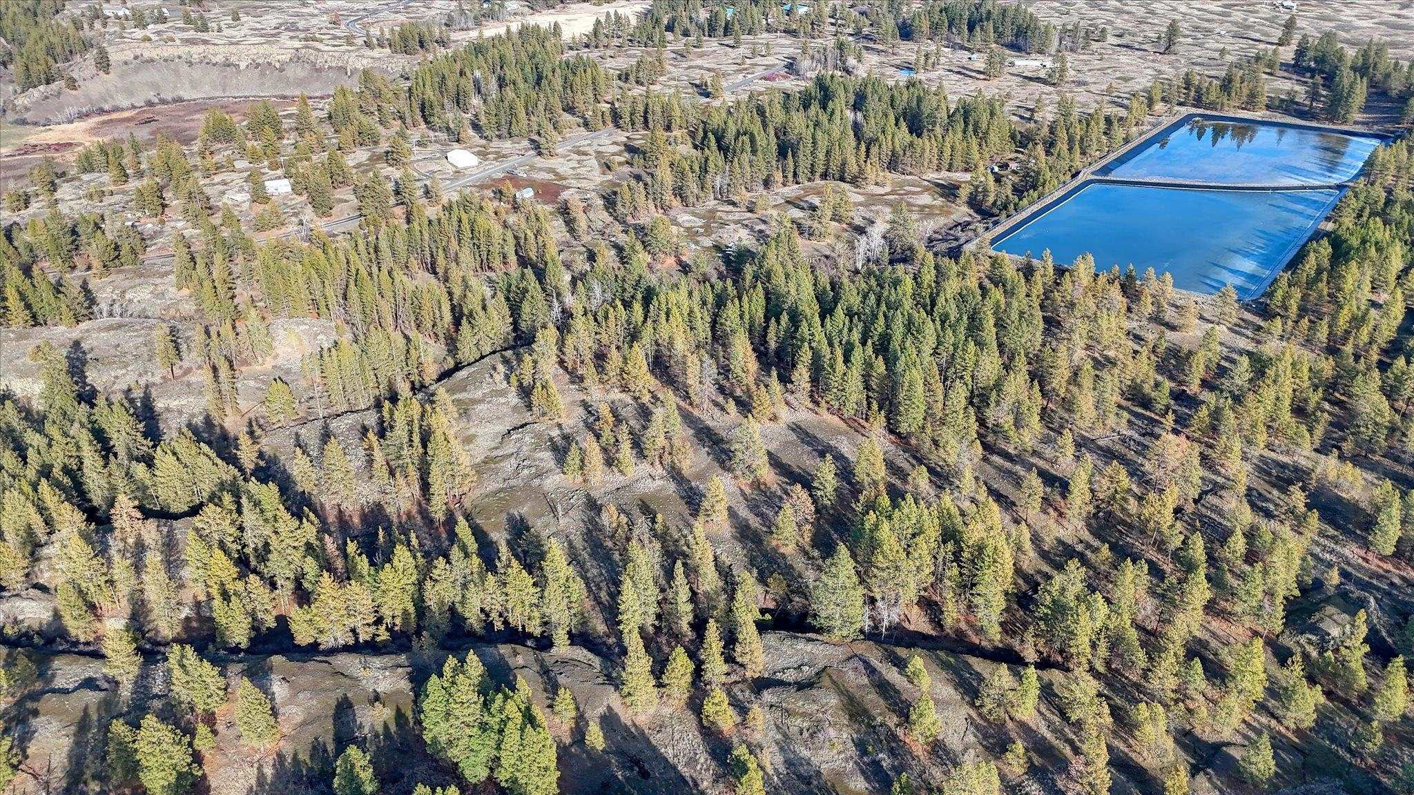 Tbd West Williams Lake Road Cheney, WA 99004 - Photo 13 of 20