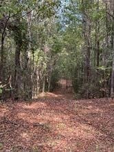 0 Friendship Road Tallassee, AL 36078 - Photo 10 of 11 Gallery Image 10