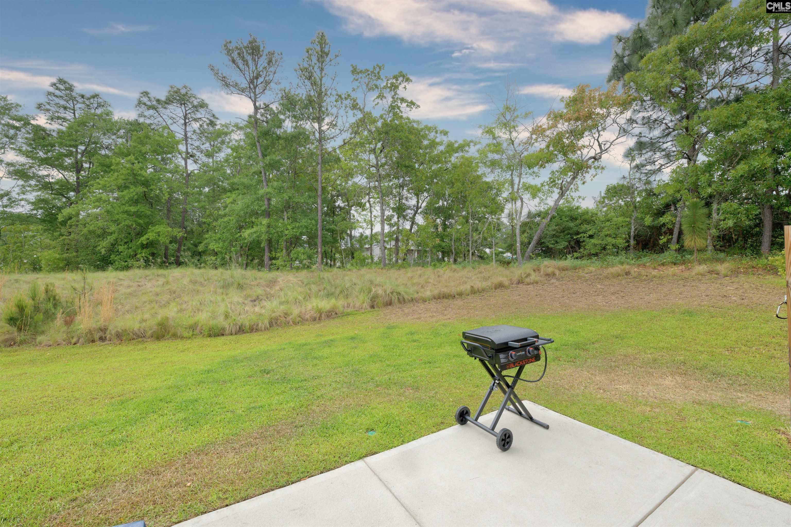 327 Reedmace Court Lexington, SC 29072 - Photo 25 of 27
