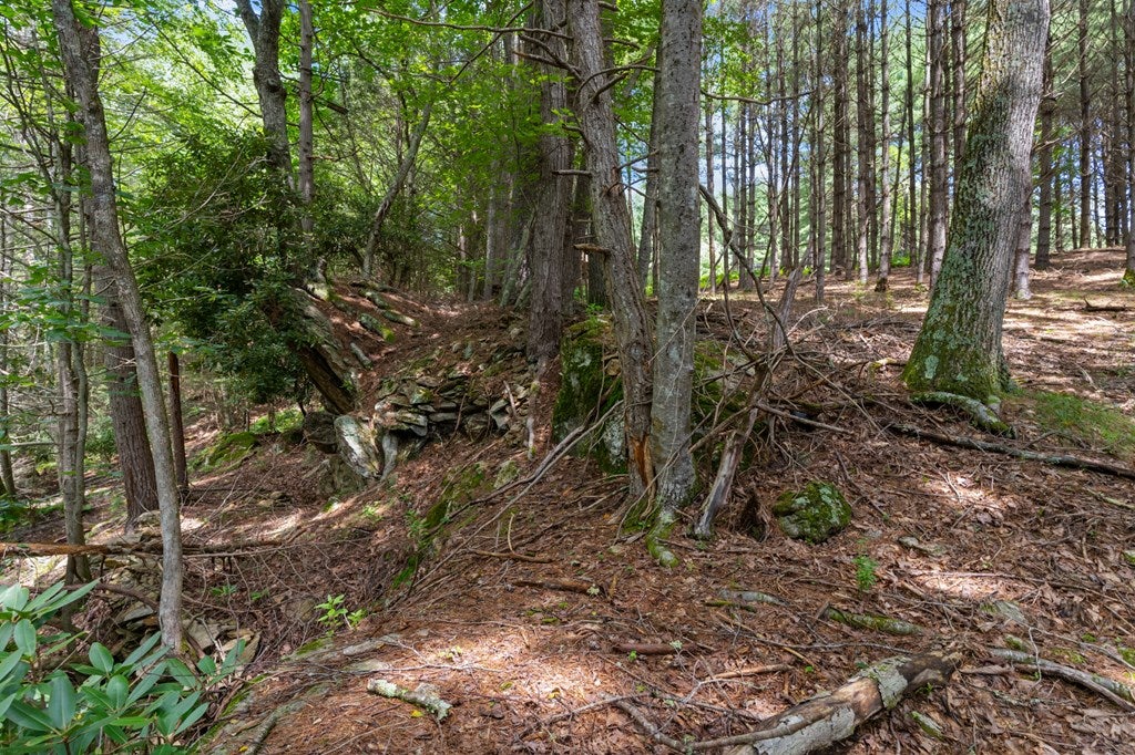 4251 Riverside Drive Independence, VA 24348 - Photo 28 of 42 Gallery Image 28