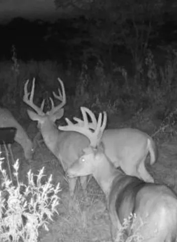 $1,794,000 | 0 West 1100th Road, Centerville, KS 66014