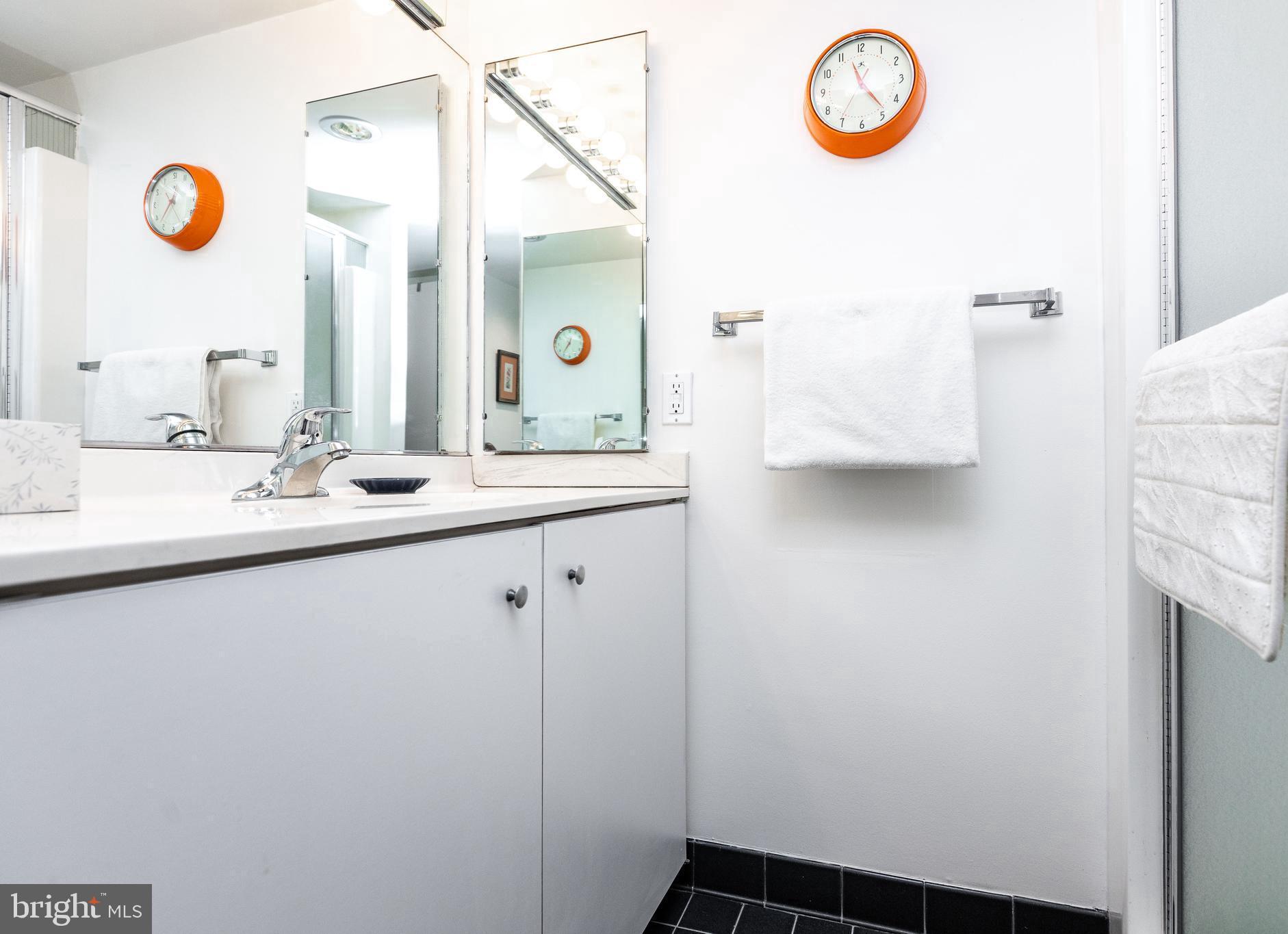 111 Hamlet Hill Road, Unit 906 Baltimore, MD 21210 - Photo 18 of 28 Hall bath with step in shower
