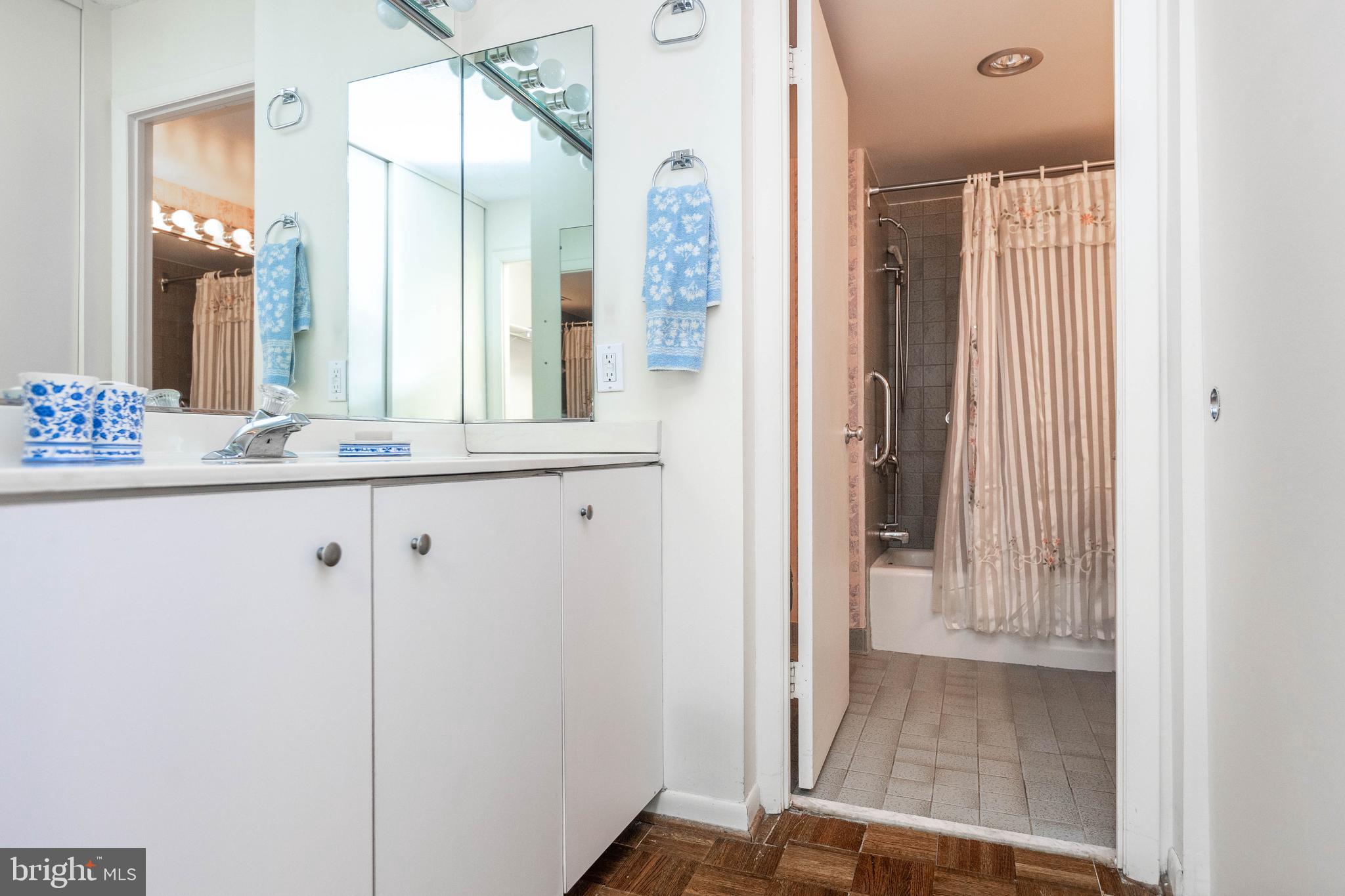 111 Hamlet Hill Road, Unit 906 Baltimore, MD 21210 - Photo 25 of 28 Separate vanity area in primary bath