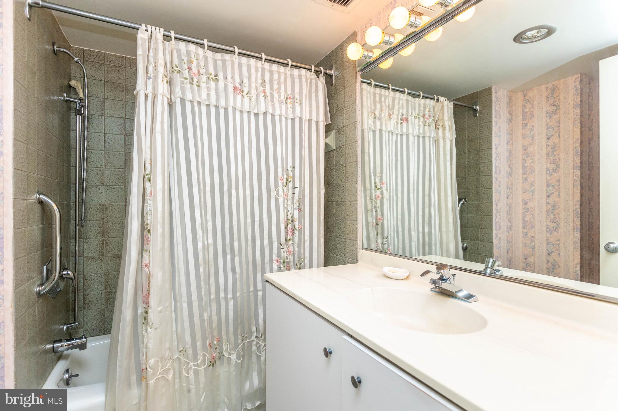 111 Hamlet Hill Road, Unit 906 Baltimore, MD 21210 - Photo 26 of 28 Tub/shower and additional vanity in primary