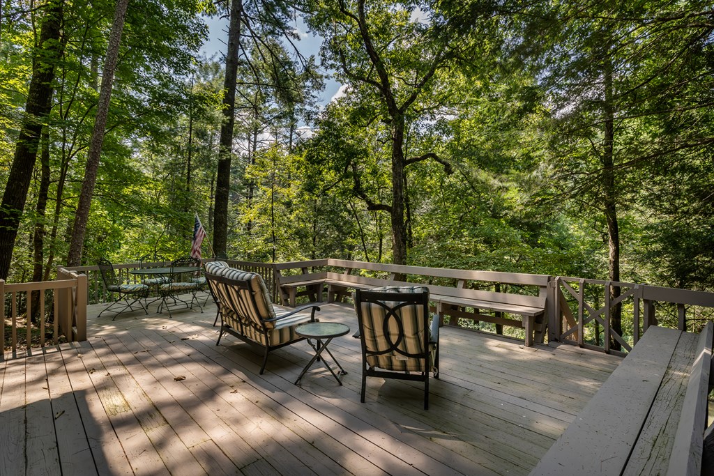 263 Indian Cave Road Ellijay, GA 30536 - Photo 49 of 50