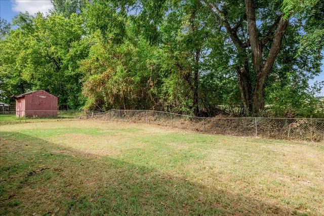 a view of a pool with a tree