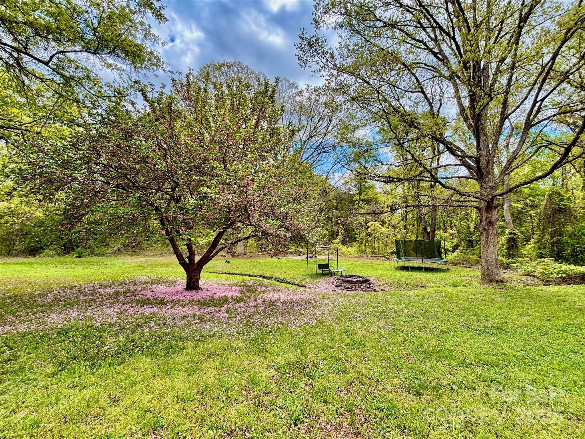 1180 Piney Ridge Road Forest City, NC 28043 - Photo 6 of 35 a view of yard with green space