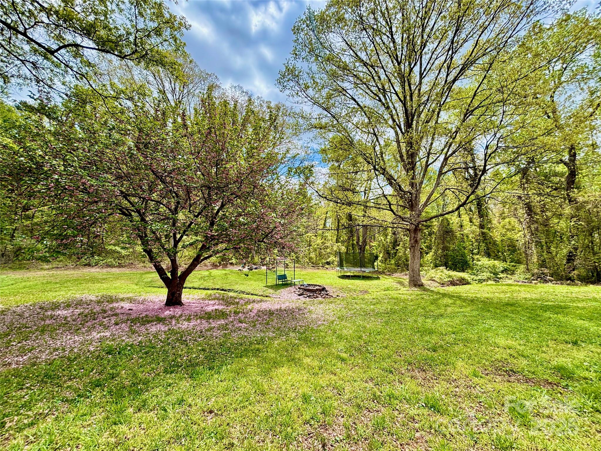 1180 Piney Ridge Road Forest City, NC 28043 - Photo 8 of 35 a view of a yard with a tree