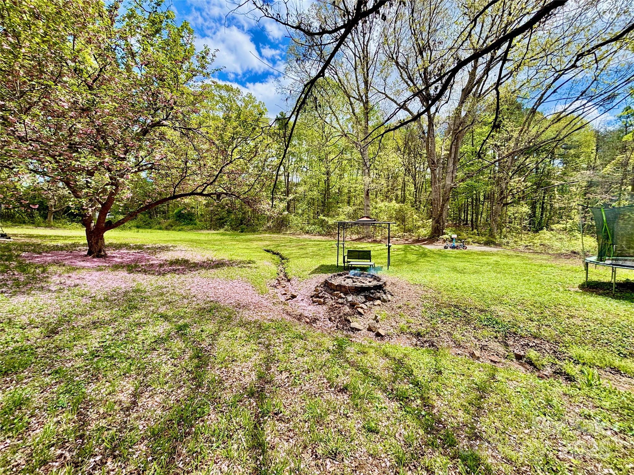 1180 Piney Ridge Road Forest City, NC 28043 - Photo 9 of 35 a view of a yard with a tree