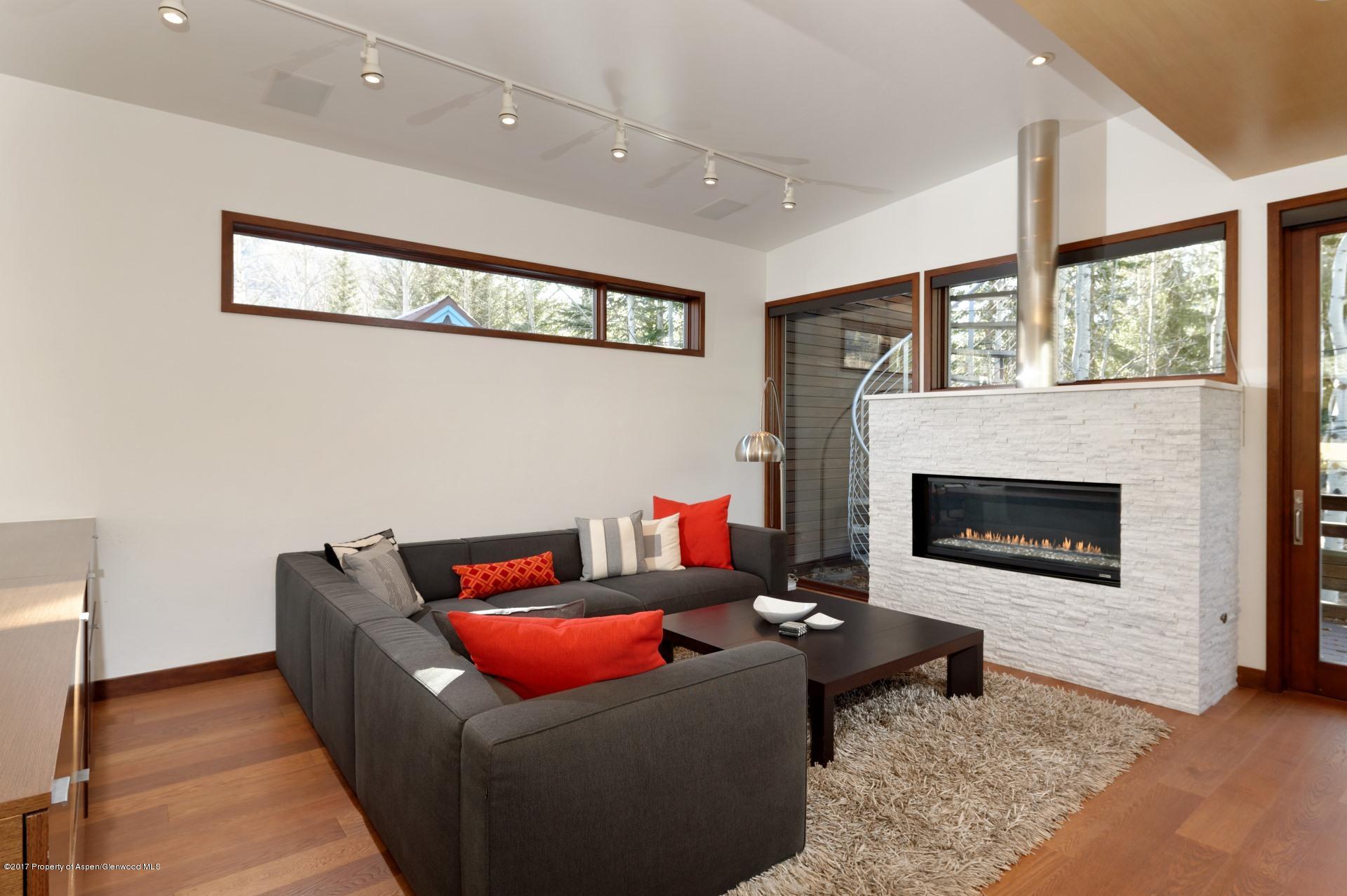 1291 Riverside Drive Aspen, CO 81611 - Photo 2 of 19 a living room with furniture a large window and a fireplace