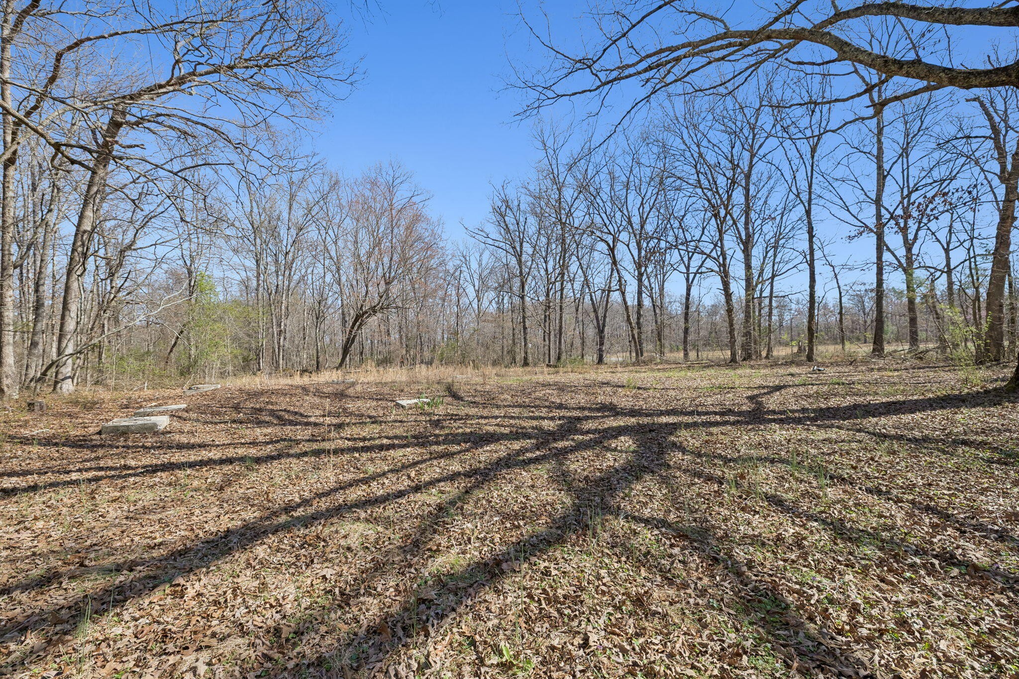 766 Bowling Alley Road Manchester, TN 37355 - Photo 37 of 57