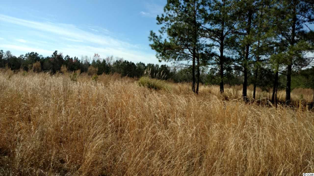 9416 County Line Road Andrews, SC 29510 - Photo 1 of 12