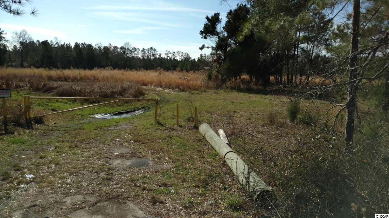 9416 County Line Road Andrews, SC 29510 - Photo 2 of 12