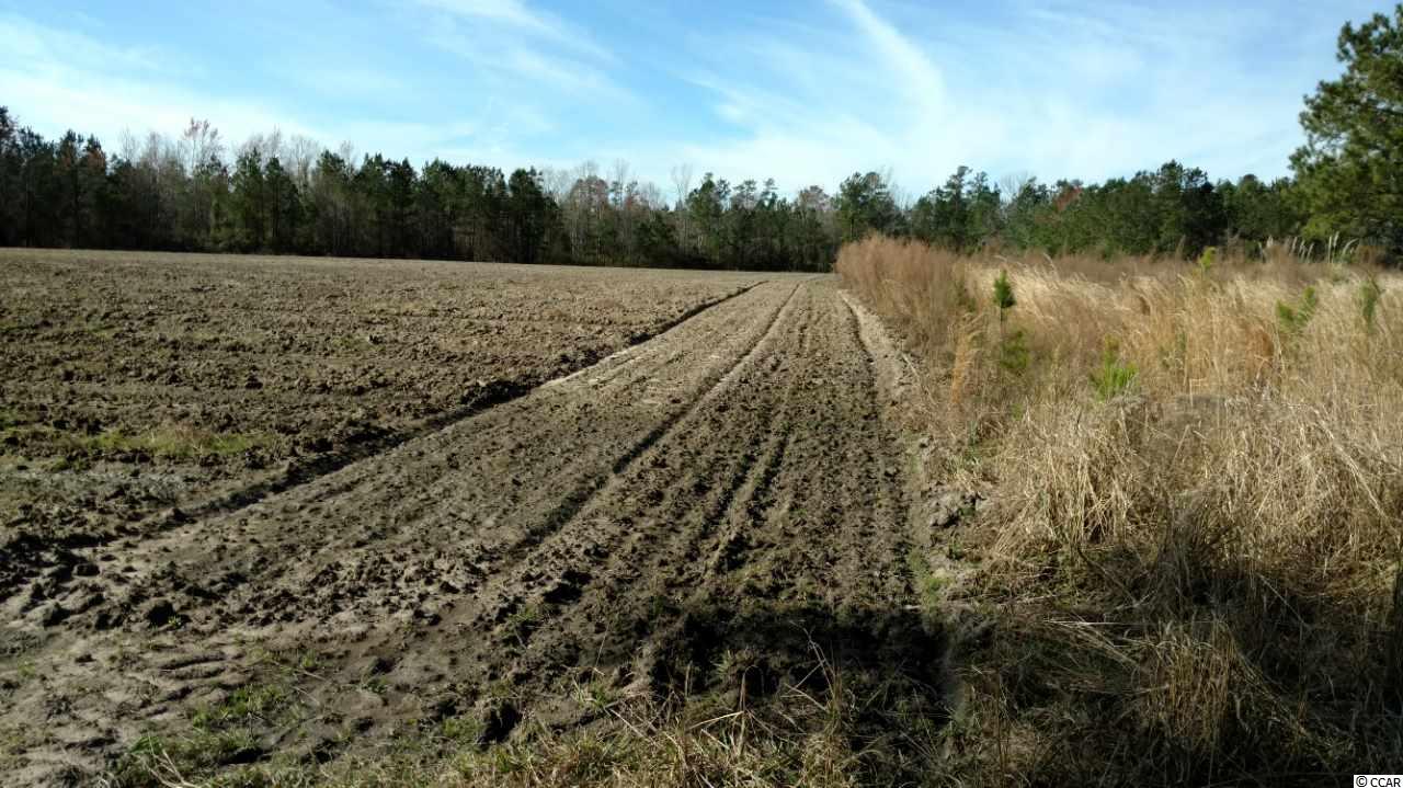 9416 County Line Road Andrews, SC 29510 - Photo 12 of 12