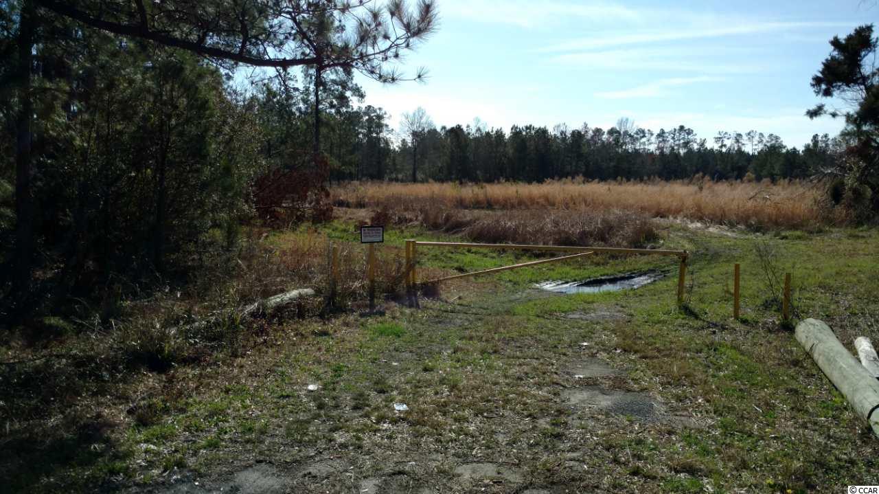 9416 County Line Road Andrews, SC 29510 - Photo 3 of 12