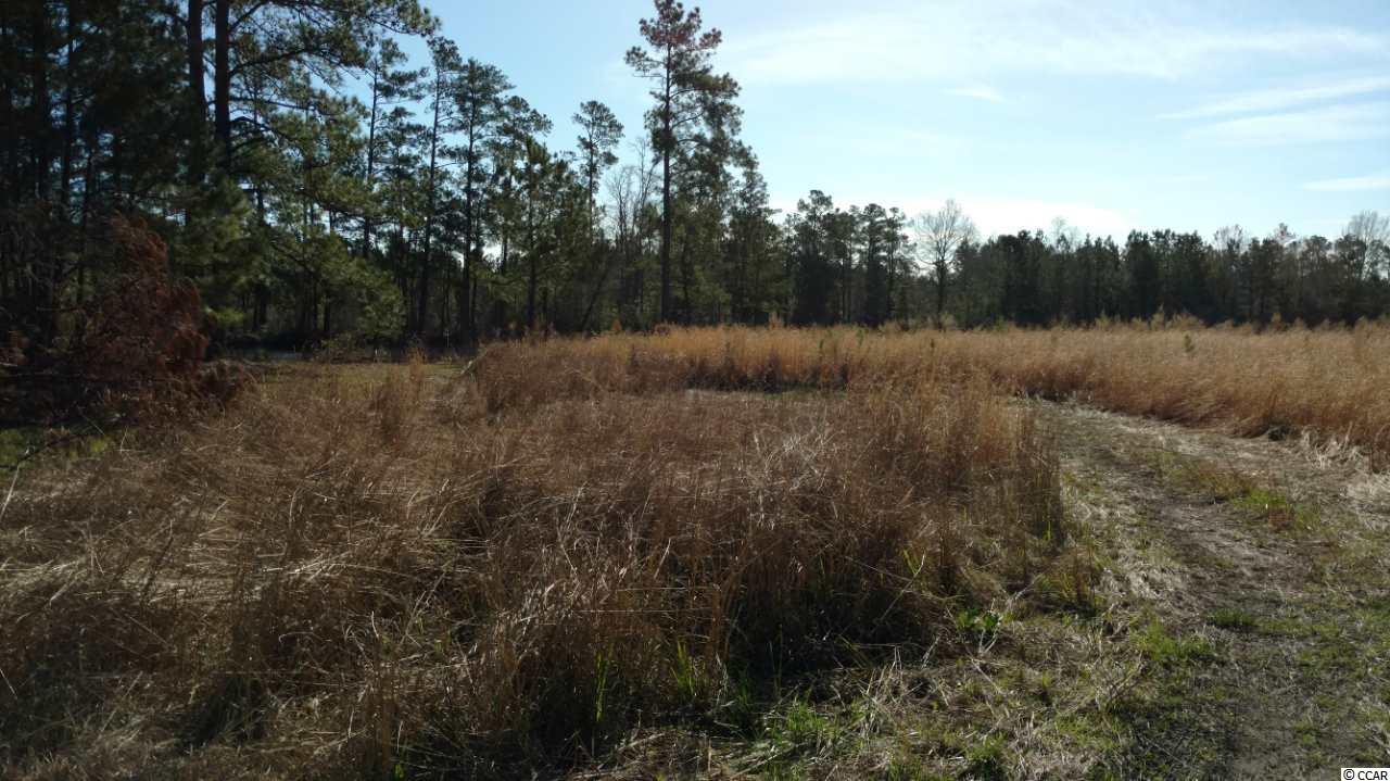 9416 County Line Road Andrews, SC 29510 - Photo 4 of 12