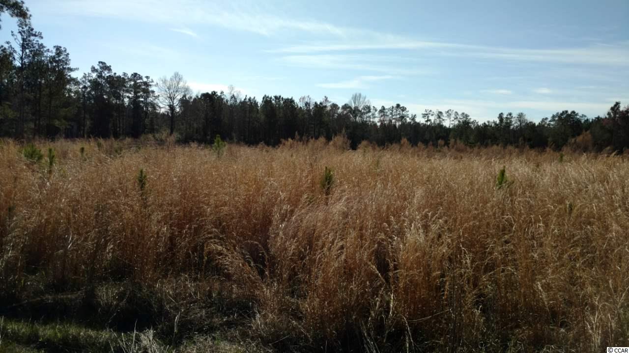 9416 County Line Road Andrews, SC 29510 - Photo 5 of 12