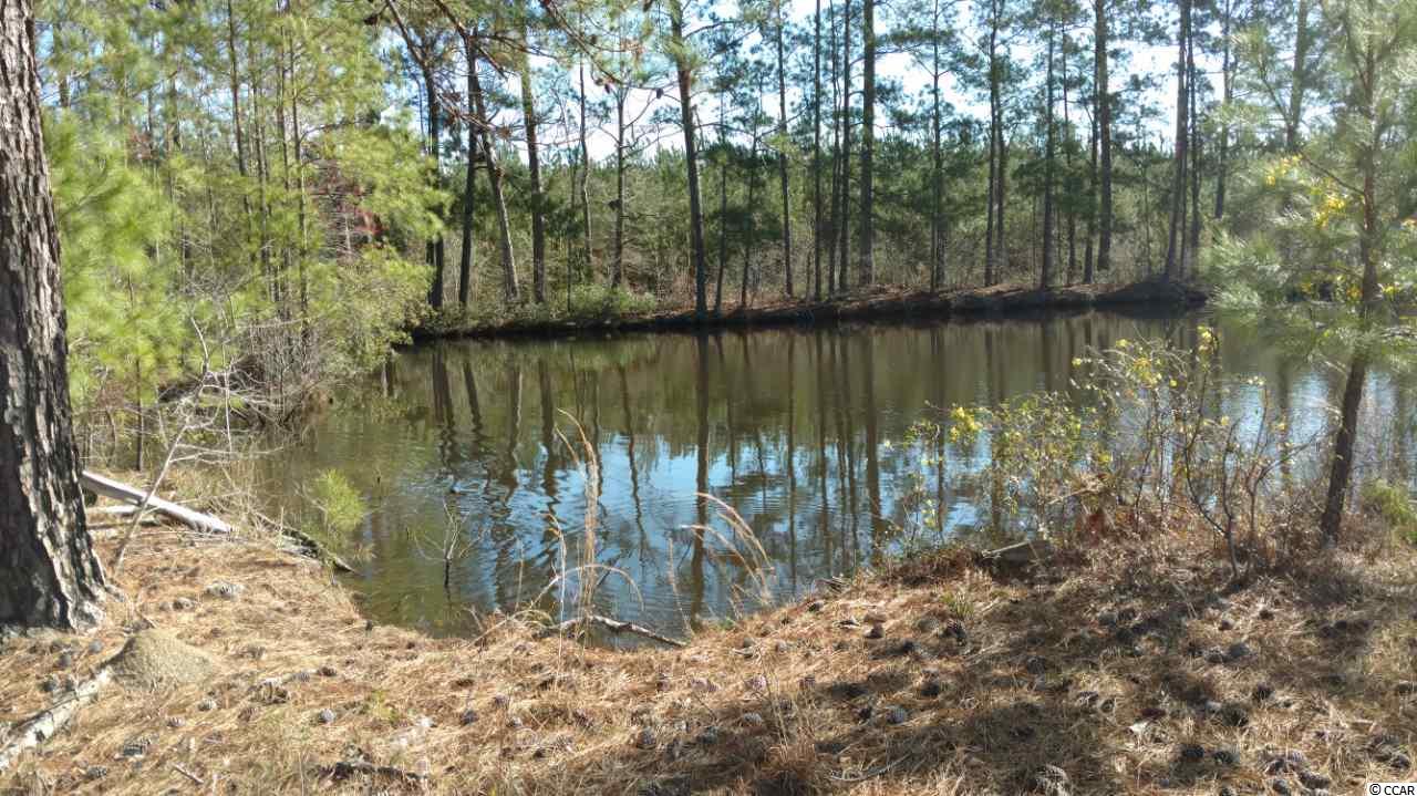 9416 County Line Road Andrews, SC 29510 - Photo 6 of 12