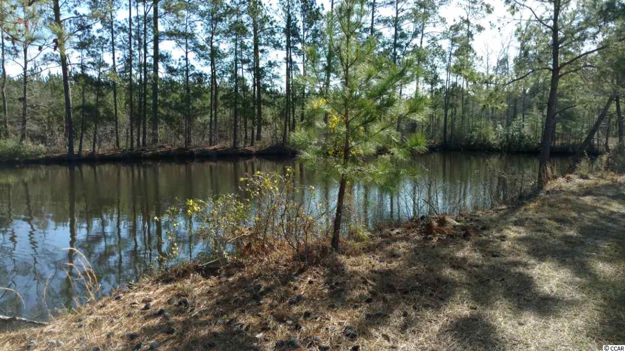 9416 County Line Road Andrews, SC 29510 - Photo 7 of 12
