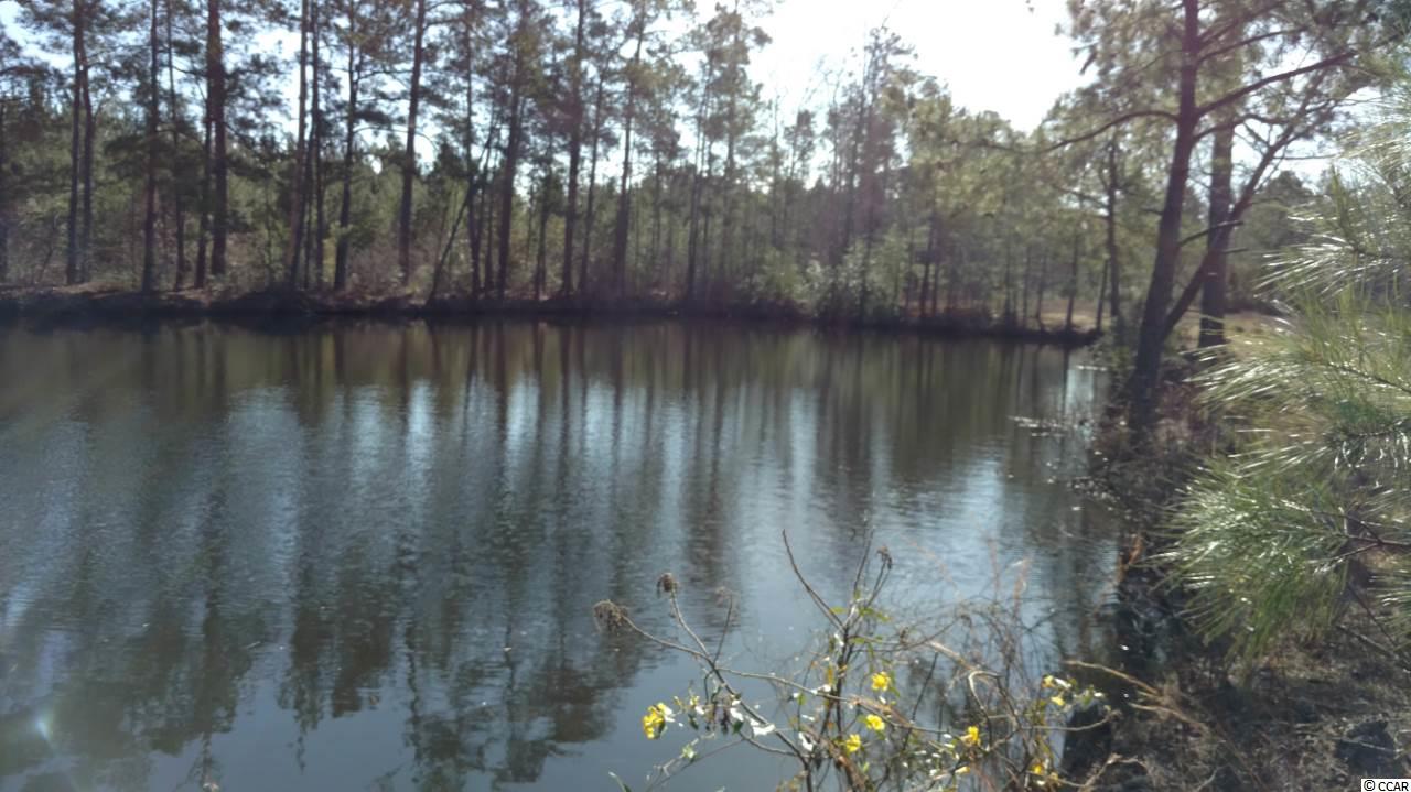 9416 County Line Road Andrews, SC 29510 - Photo 8 of 12