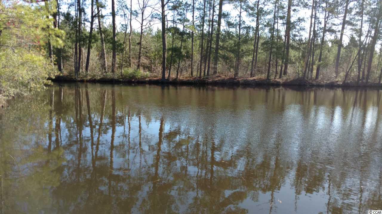 9416 County Line Road Andrews, SC 29510 - Photo 9 of 12