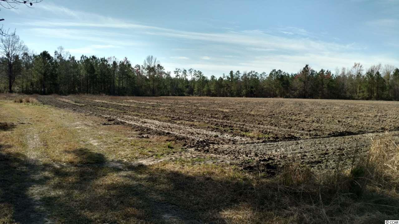 9416 County Line Road Andrews, SC 29510 - Photo 10 of 12