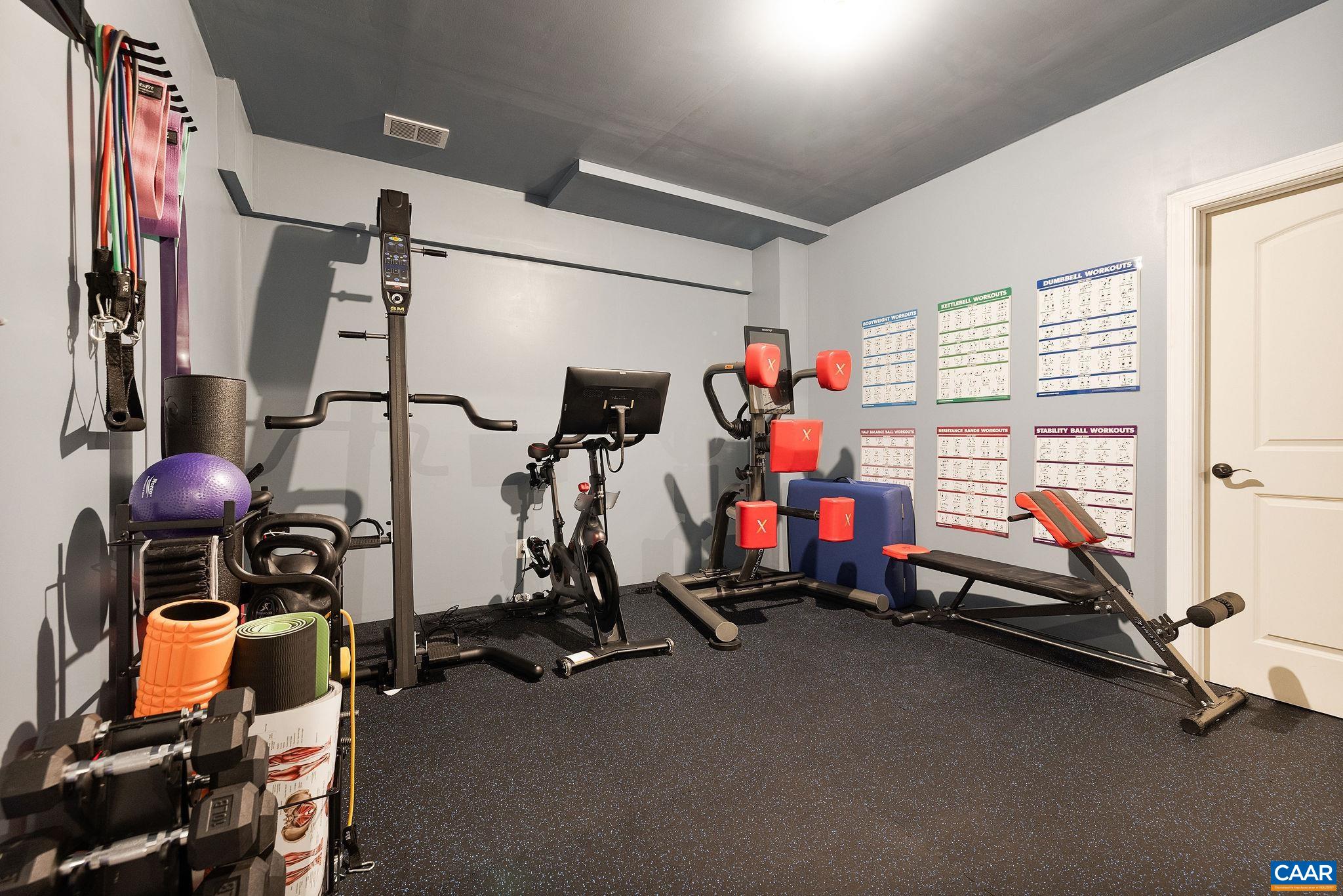 1630 Victor Place Charlottesville, VA 22903 - Photo 61 of 73 a view of a room with gym equipment