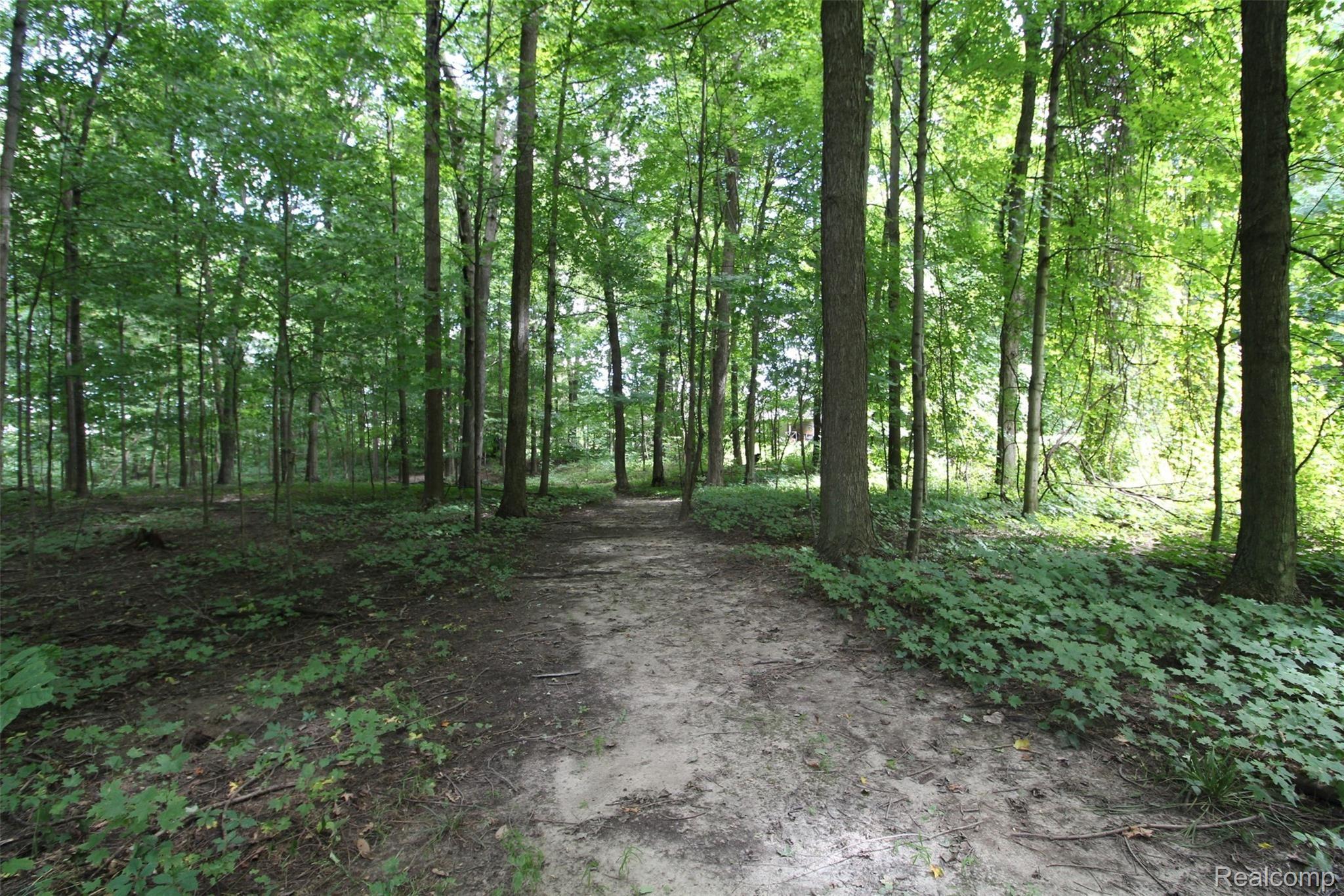 2258 South Lake George Road Metamora, MI 48455 - Photo 79 of 80 IMG_9150.JPG