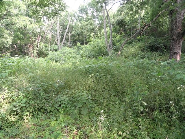 Lt 9 Cardinal Crest Lane New Glarus, WI 53574 - Photo 31 of 64