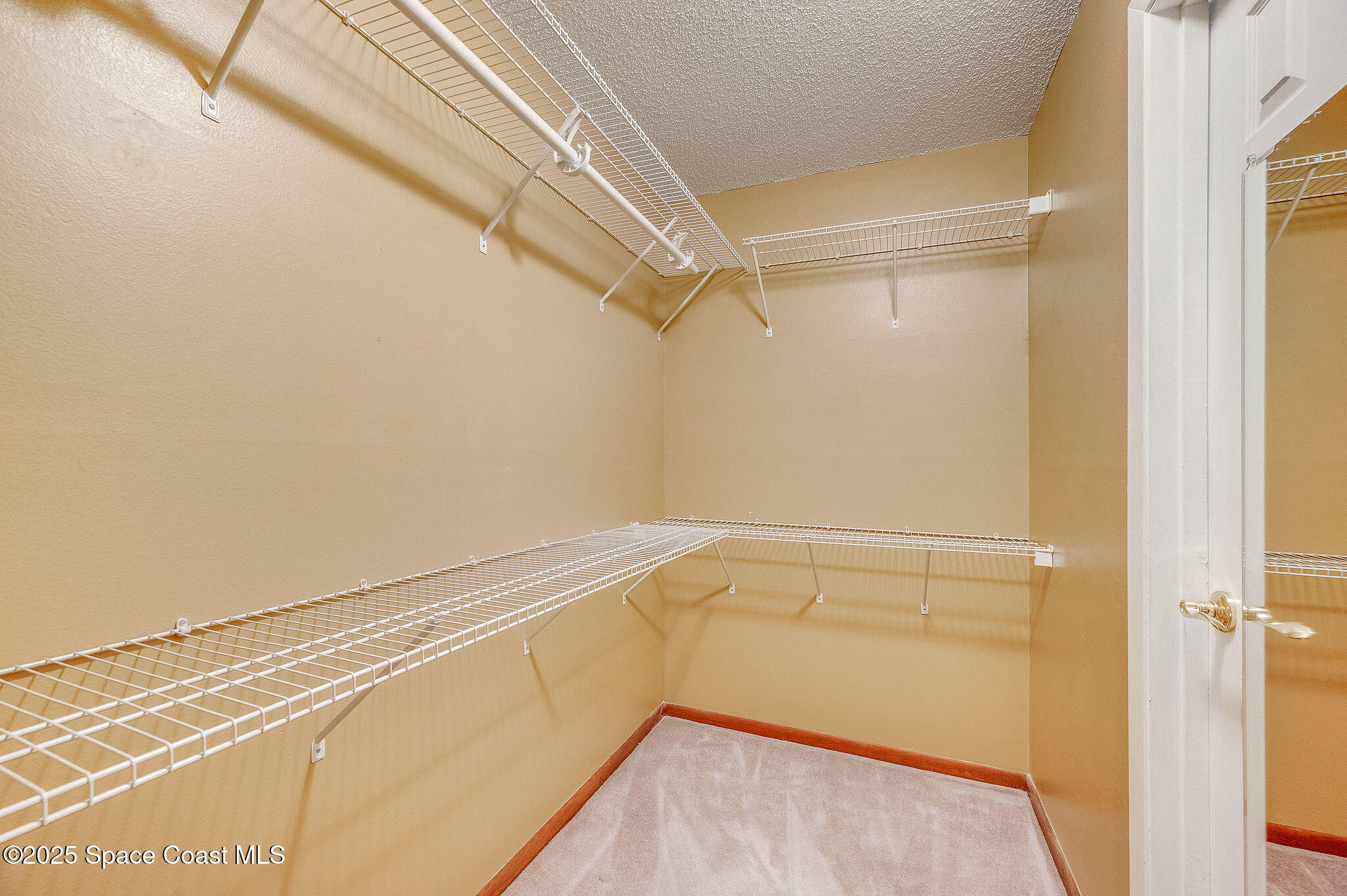 987 Sycamore Drive Rockledge, FL 32955 - Photo 23 of 48 a view of an empty walk in closet