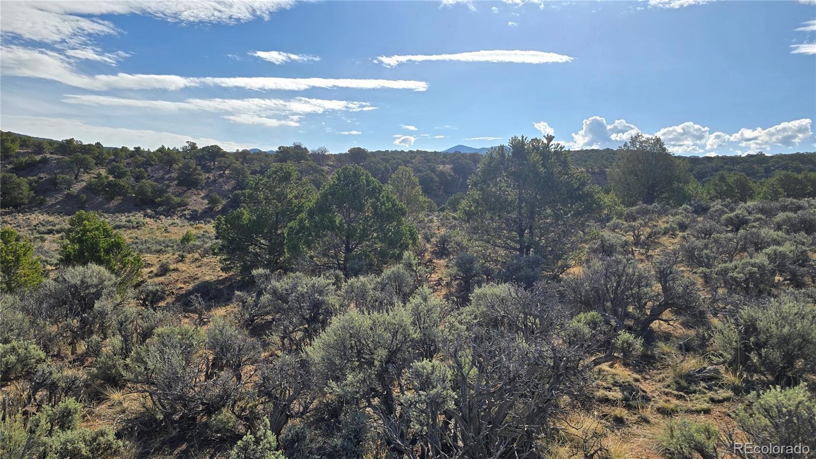 Lot 7340 Sweaney Road Fort Garland, CO 81133 - Photo 22 of 31 Gallery Image 22