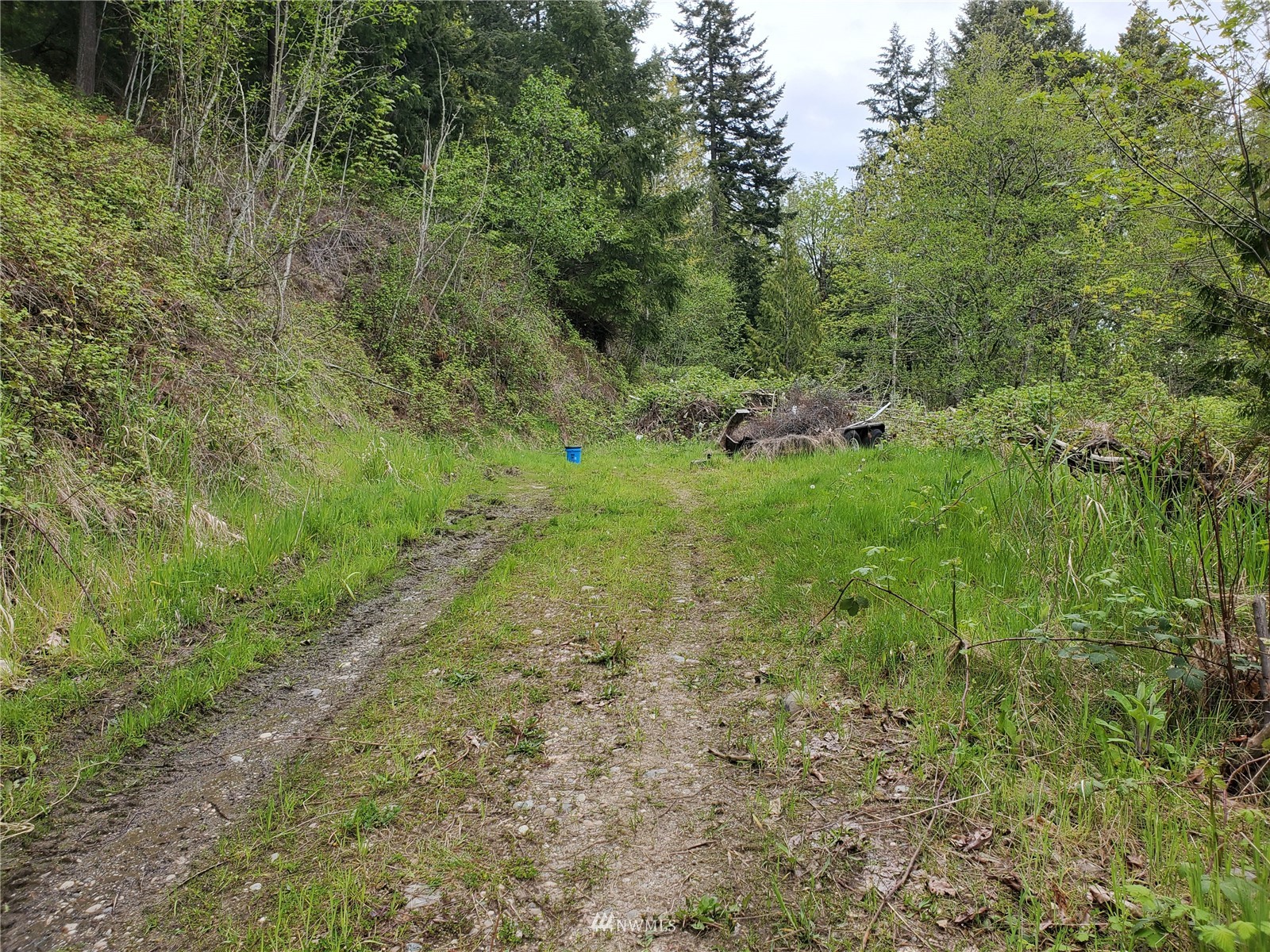 15802 Larson Loss Road Buckley, WA 98321 - Photo 35 of 36 Gallery Image 35