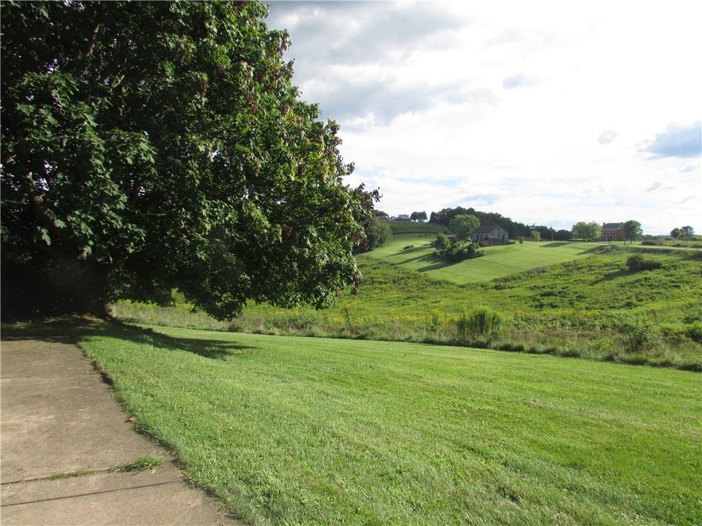 4867 Williamsport Road Elizabeth, PA 15037 - Photo 6 of 25 Back yard