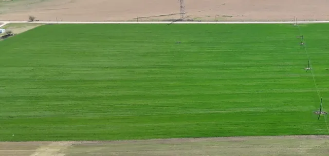 $359,000 | Tbd Kelsoville Road, Bartlett, TX 76511