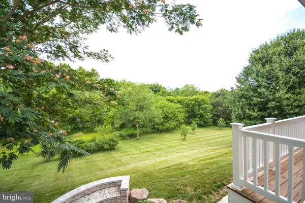 a view of a big yard with a large tree