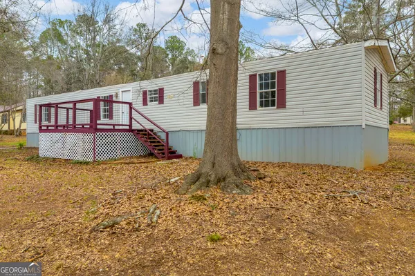 a close up of a tree in a forest