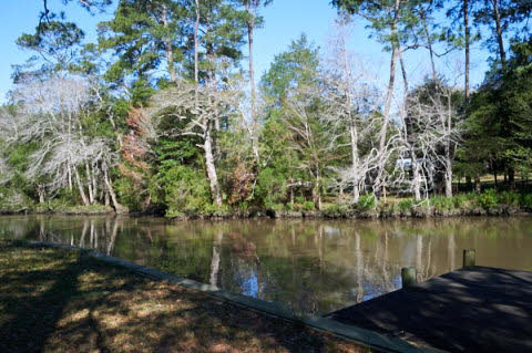 14941 Richards Lane Magnolia Springs, AL 36555 - Photo 3 of 3 NW View | River