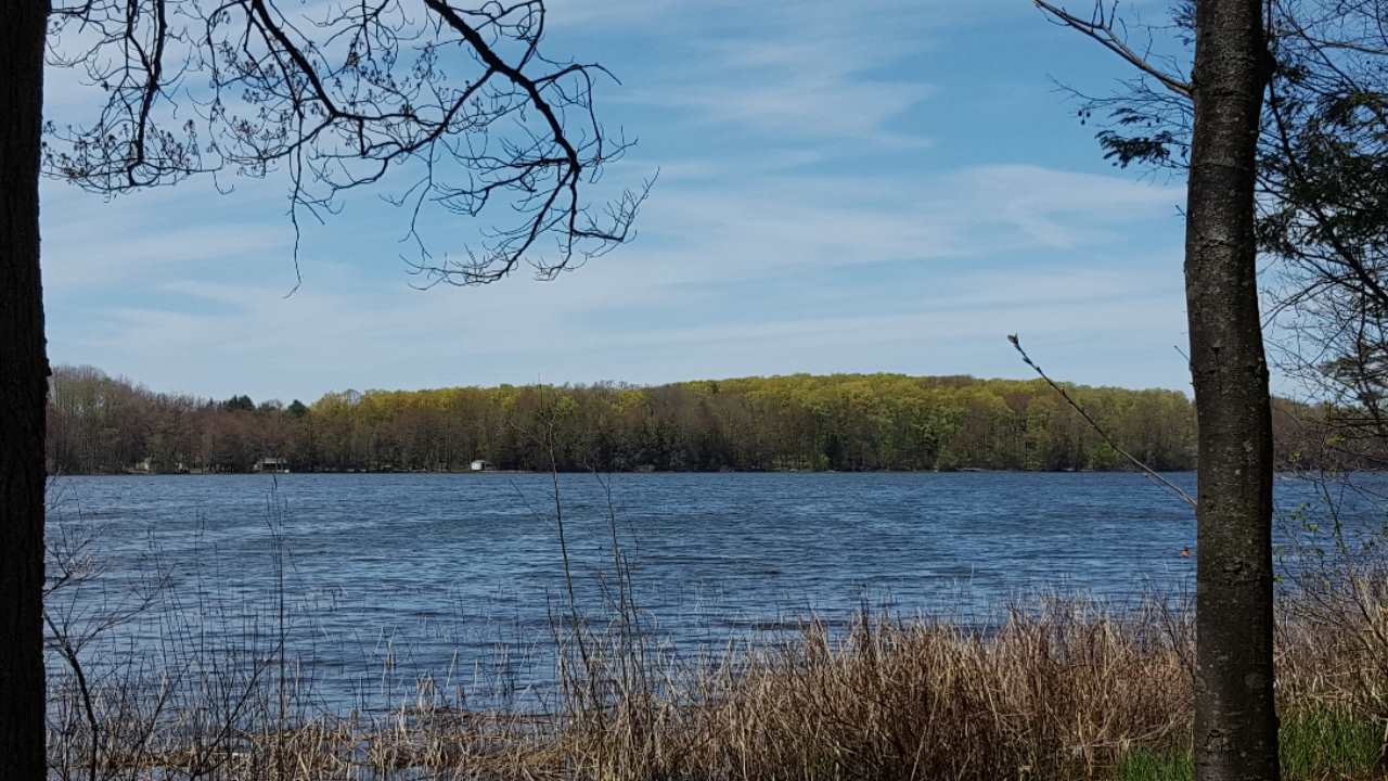 7600 Chapman Road Alden, MI 49612 - Photo 14 of 41 1859119-13.JPG