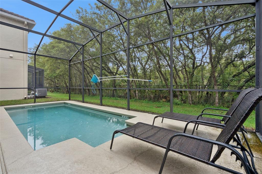 8965 Cuban Palm Road Kissimmee, FL 34747 - Photo 31 of 77