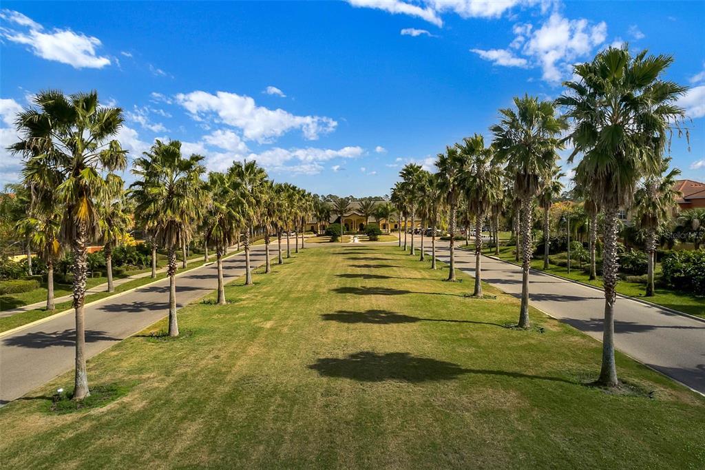 8965 Cuban Palm Road Kissimmee, FL 34747 - Photo 71 of 77