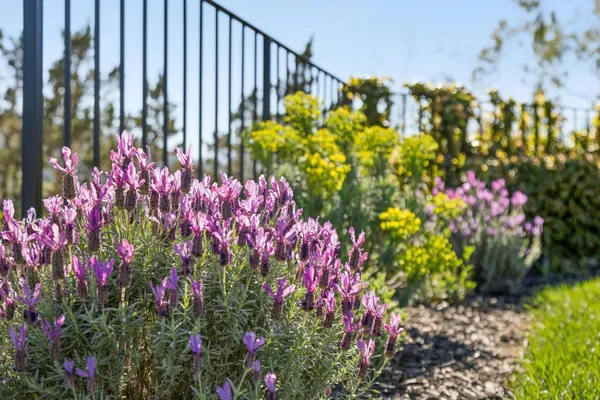 $8,498,000 | 15715 Gum Tree Lane, Los Gatos, CA 95032