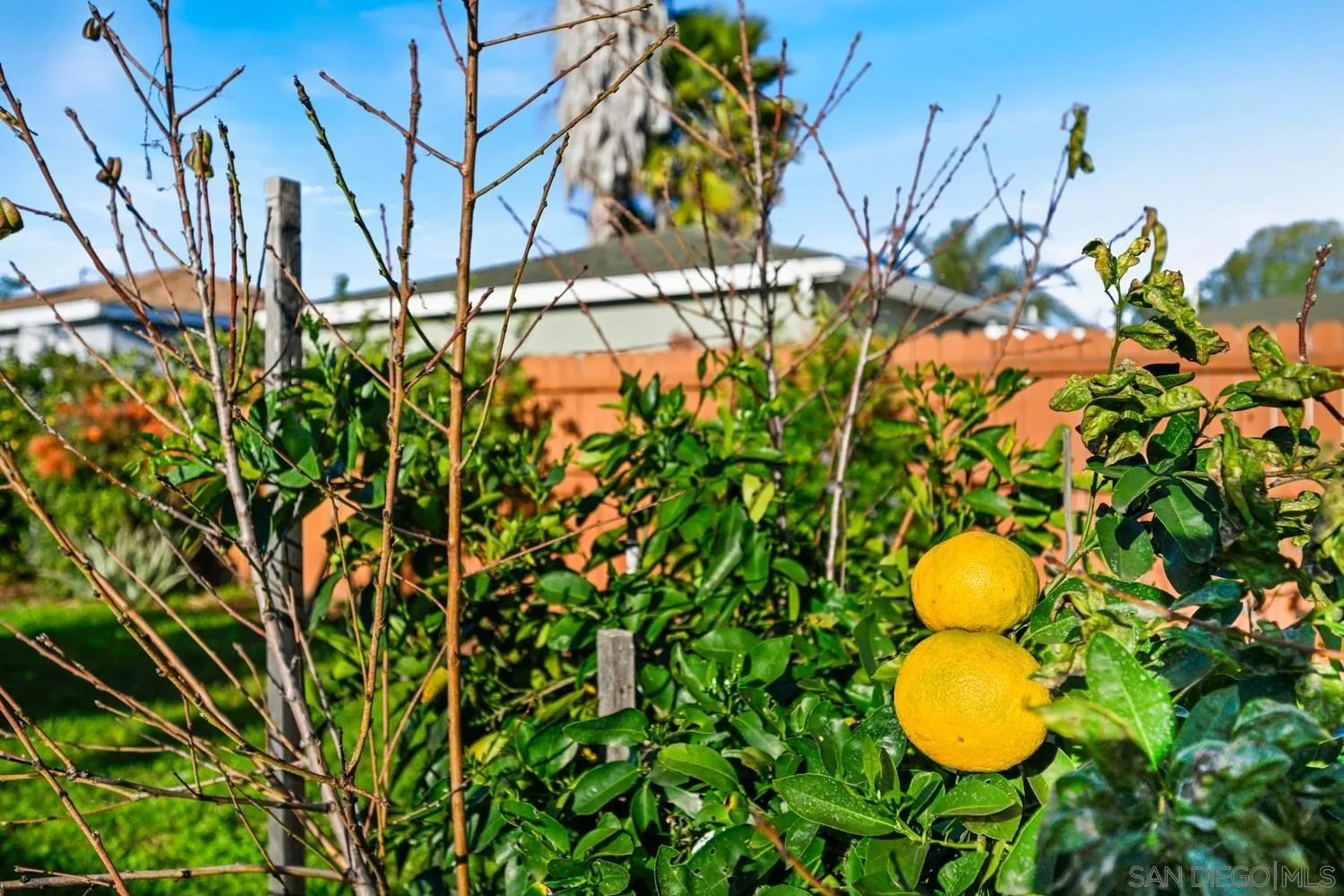 720 Fern Street Escondido, CA 92027 - Photo 26 of 28