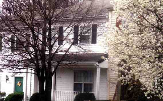a front view of a house with a tree