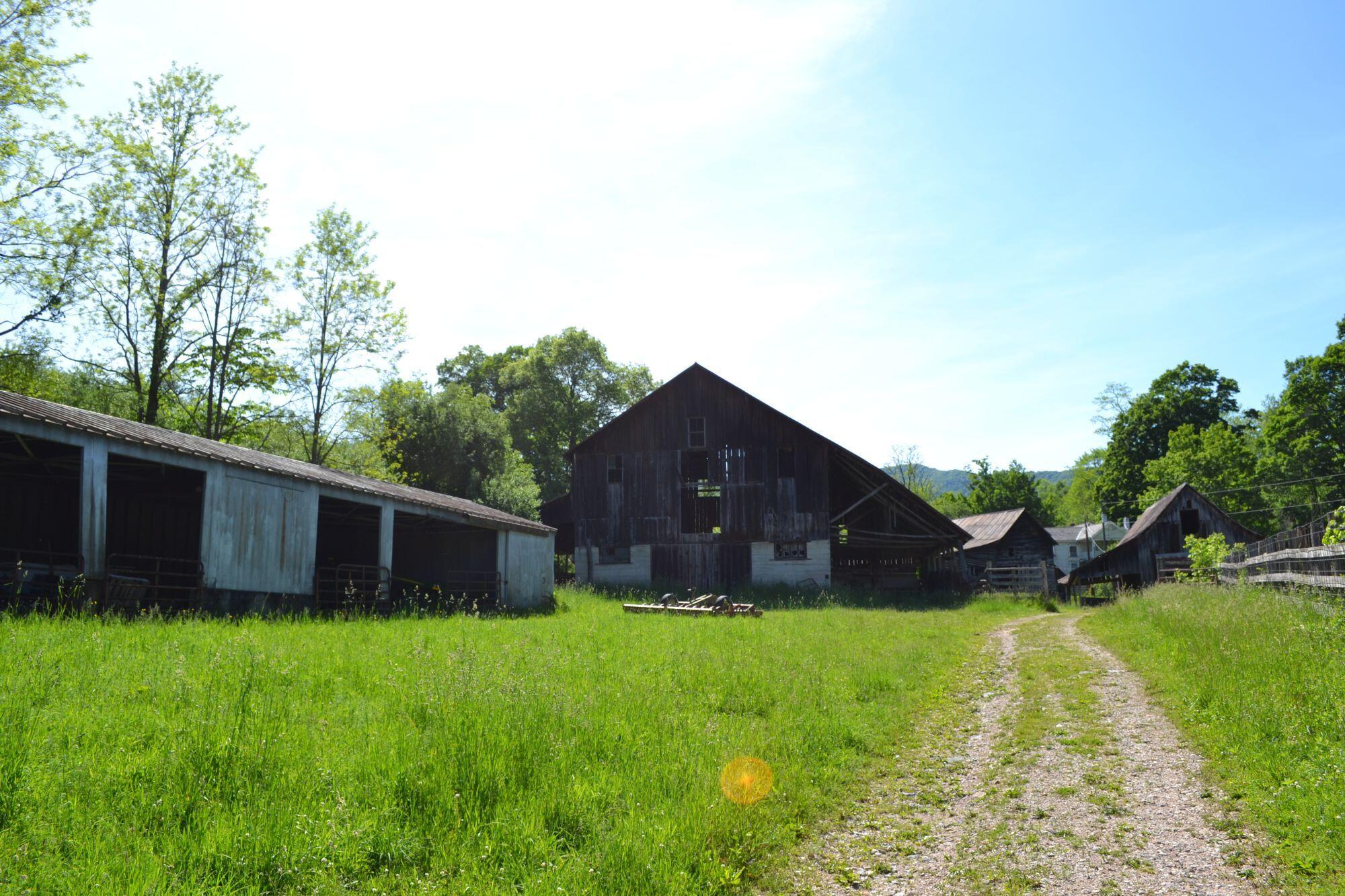 275 Old US 219 Road Buckeye, WV 24924 - Photo 44 of 72 Gallery Image 44